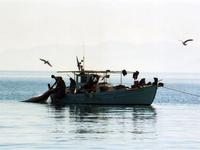 Fisherman in Vivari